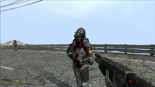 HalfLife 2  Combine Sniper Analysis [upl. by Zacharie]