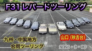 F31レパード 九州・中国組合同ツーリング（山口県秋吉台） [upl. by Dudley766]