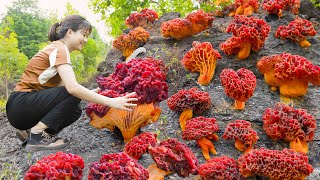 BREAKINGHow Harvesting Rock Coral Mushroom  A type of mushroom that grows on limestone [upl. by Legge785]