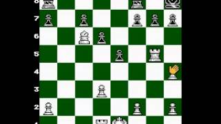 The Chessmaster NES  Nintendo  Vizzedcom GamePlay [upl. by Botnick]