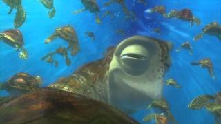 FINDING NEMO 3D  Exit Buddy clip [upl. by Nueoht672]