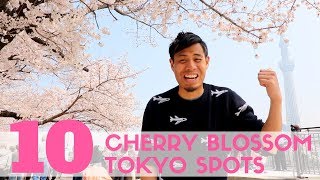 Top 10 Cherry Blossom Tokyo Spots  Sakura watching and Hanami Guide [upl. by Mharg]