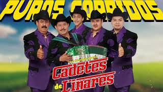 Los Cadetes de Linares  Colección de Éxitos Inolvidables  Puros Corridos Mix [upl. by Saxena669]