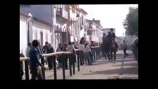 FEIRA CAVALO GOLEGÃ HORSE FAIR [upl. by Aroda383]