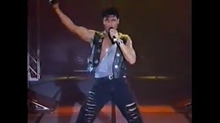 Chayanne  Concierto Tour Provócame 1992 [upl. by Acined]