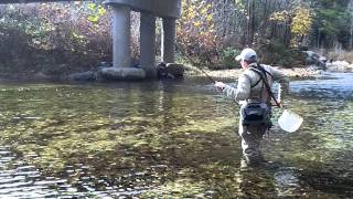 Tenkara Fly Fishing Wilson Creek NCmp4 [upl. by August150]