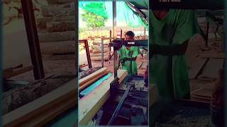 Routine sawing wood using a band saw machine [upl. by Ellenaj]