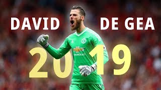 David de gea 2019 ● Crazy amp Super saves  1080P [upl. by Adiazteb]