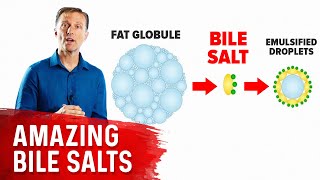 The 9 Benefits of Bile Salts [upl. by Maier]