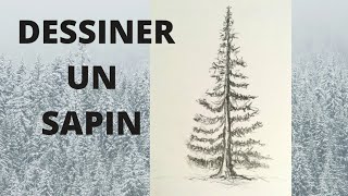 COMMENT DESSINER UN SAPIN  Facilement 🌲 [upl. by Faxun14]