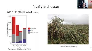 Autonomous detection of plant disease symptoms directly from aerial imagery [upl. by Illek]