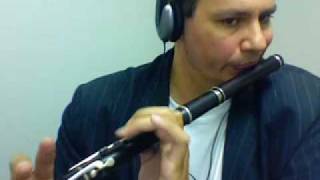 Irish flute tin whistle  Happy Hornpipe [upl. by Georg]