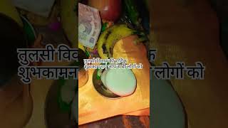 देव उठानी एकादशी की हार्दिक शुभकामनाएं सभी लोगों को vansh maurya ji vlogs [upl. by Ritch591]