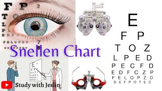 Snellen Chart  Visual Acuity Test  How to test the visual acuity in Tamil  Study with Jeslin [upl. by Sulecram]