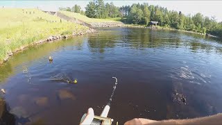 BIG Musky Follow FROM SHORE  Island Lake Reservoir Dam Duluth MN [upl. by Llenrrad]