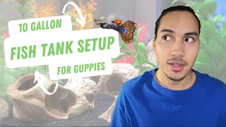 10 Gallon Fish Tank Setup for Guppies [upl. by Mavis]