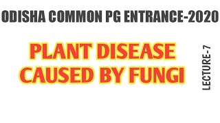 PLANT DISEASE CAUSED BY FUNGI [upl. by Vada]