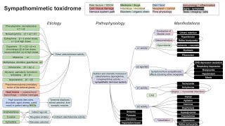 Sympathomimetic toxidrome mechanism of disease [upl. by Brigitta535]