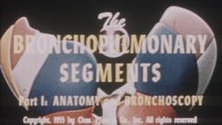 Bronchopulmonary segments Part 1 Anatomy and bronchoscopy 1955 [upl. by Ellahcim923]