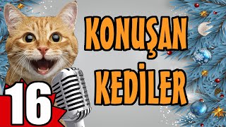 Konuşan Kediler 16  En Komik Kedi Videoları [upl. by Ydnih]