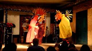 Dancers at Tinajas Panama City Panama [upl. by Nadaha]