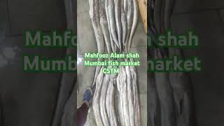 mahfooz Alam shah Mumbai fish market CSTM [upl. by Afital74]