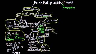 Biochemistry free fatty acids [upl. by Claudina]