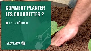 TUTO Comment planter les courgettes  – Jardinerie Gamm vert [upl. by Llerrot]