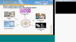 CAP education session TNM classification 8th edition Dr Brierley 2017 [upl. by Gally]