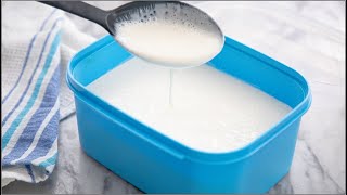 How to Make Yogurt From Scratch With Just 3 Ingredients  BONUS BREAKFAST RECIPE  ZEELICIOUS FOODS [upl. by Colyer]