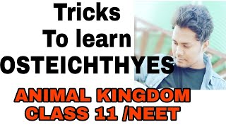 Tricks to learn examples of class OSTEICHTHYES ANIMAL KINGDOM CLASS 11 [upl. by Aivirt]