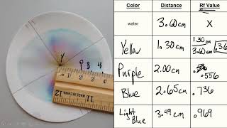 Chromatography Lab [upl. by Aslehc]