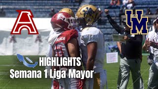 HIGHLIGHTS  Águilas Blancas IPN vs Pumas CU  Clásico  Semana 1  Liga Mayor ONEFA 2023 [upl. by Elleoj]