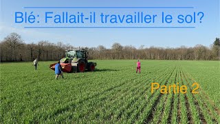 Blé fallaitil travailler le sol Partie 2 [upl. by Blain358]