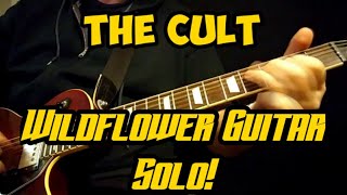 Wildflower  The Cult Classic Guitar Solos 3 [upl. by Pattie]