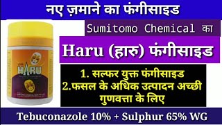 Haru fungicide  tebuconazole 10Sulphar 65 Sumitomo Chemical [upl. by Xonel]