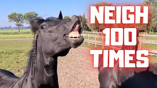 Neighing horses More than 100 times  April Fools Day  Friesian Horses [upl. by Letnoj687]