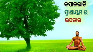 Kapalbhati Pranayama for weight loseKapalbhati Pranayama for belly fatକପାଳଭାତି ପ୍ରାଣାୟମର ଉପକାର [upl. by Marylin772]