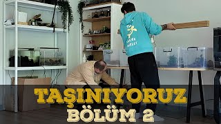 TAŞINMADA BÜYÜK ADIM  BÖLÜM 2 [upl. by Elsi]