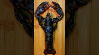 🦞Lobster with another flavorfood cooking recipe lobster youtube shorts [upl. by Alyce]