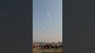 Snowbirds entry to Abbotsford airshow [upl. by Pitt]