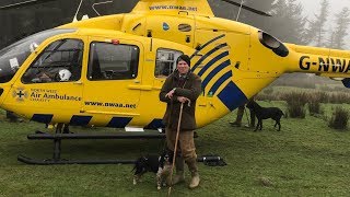 Pheasant Shooting 25th January 2019 with Helicopter Rescue [upl. by Adnohsat]