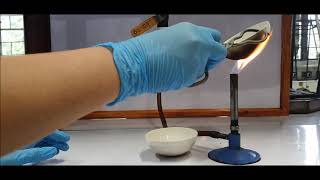 TUPM Dept of Chemistry Virtual Lab  Bunsen Burner [upl. by Bette-Ann]