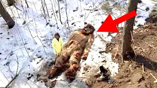 Mireya Mayor quotThe Government Tried To Hide Our Bigfoot Capturequot [upl. by Elkraps]