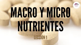 1 CONCEPTOS BÁSICOS DE ALIMENTACIÓN MACRO Y MICRONUTRIENTES NUTRICIÓN ORTOMOLECULAR [upl. by Sonafets]