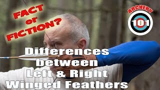 Trad Archery 101 Left Wing Vs Right Wing Feathers [upl. by Aracaj757]