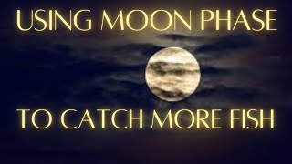 Using moon phase to catch more fish Understand moon phases [upl. by Chip4]