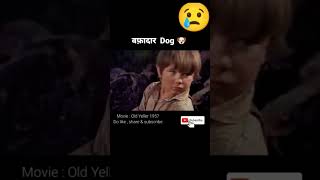 dog 🐶old yeller 1957 movieviral video movie [upl. by Earezed]