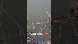 Water Boom 💥💥 rovermanish rovermanishvlog shorts [upl. by Uba]