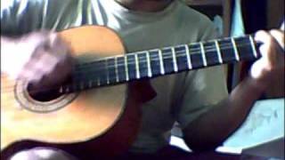 Moscas en la Casa  shakira  cover guitarra [upl. by Ellerehs385]